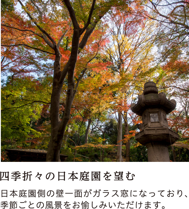 四季折々の日本庭園を望む